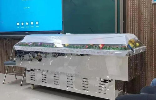 跨界融合 從殯葬專業(yè)到計(jì)算機(jī)批發(fā)，膽識(shí)鋪就多元職業(yè)路